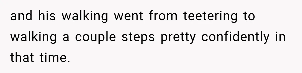 and his walking went from teetering to walking a couple steps pretty confidently in that time.