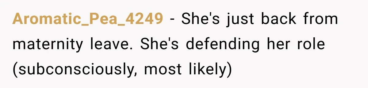 She Defended a Coworker’s Maternity Cover, Now the Whole Office Is Giving Her the Cold Shoulder Aromatic_Pea_4249 − She's just back from maternity leave. She's defending her role (subconsciously, most likely)