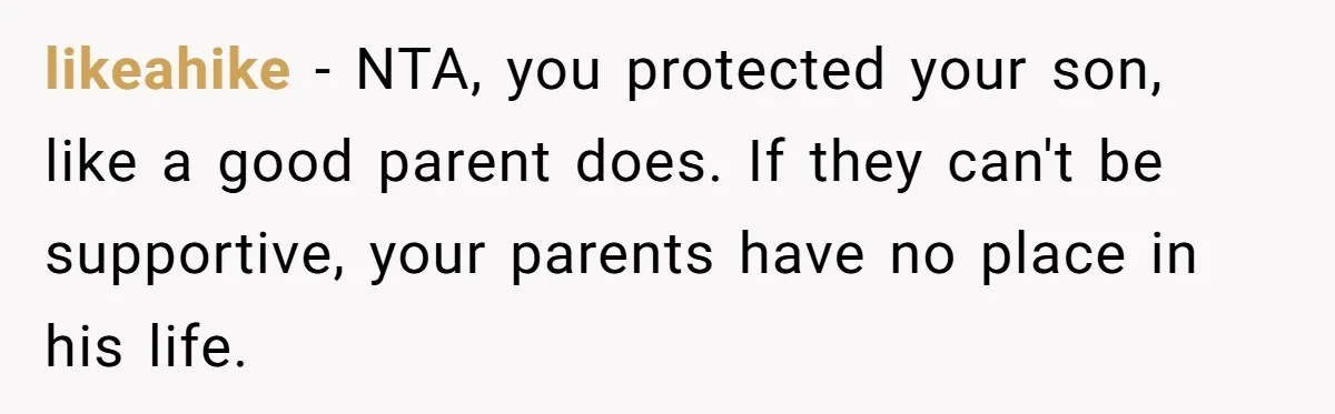 Dad Kicks Family Out After They Tell His Gay Son To ‘Find A Girl’ likeahike − NTA, you protected your son, like a good parent does. If they can't be supportive, your parents have no place in his life.
