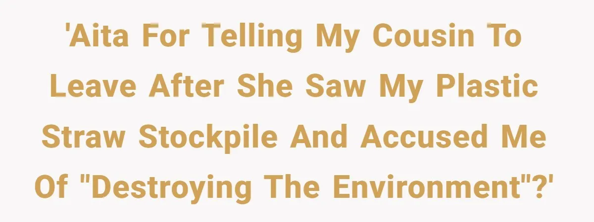 She’s Stockpiling Plastic Straws For Her Disability, But Her Cousin Accuses Her Of Destroying The Planet 'AITA for telling my cousin to leave after she saw my plastic straw stockpile and accused me of "destroying the environment"?'