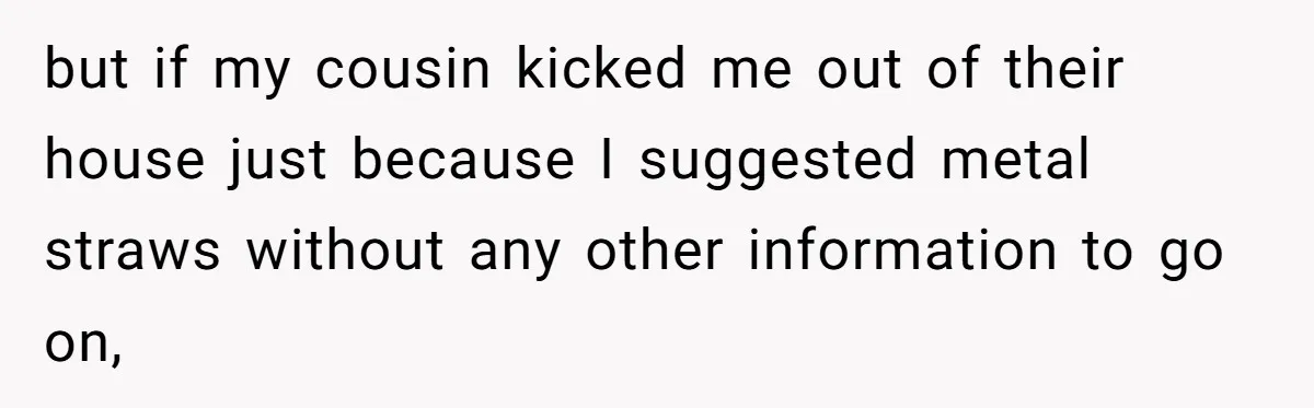 She’s Stockpiling Plastic Straws For Her Disability, But Her Cousin Accuses Her Of Destroying The Planet but if my cousin kicked me out of their house just because I suggested metal straws without any other information to go on,