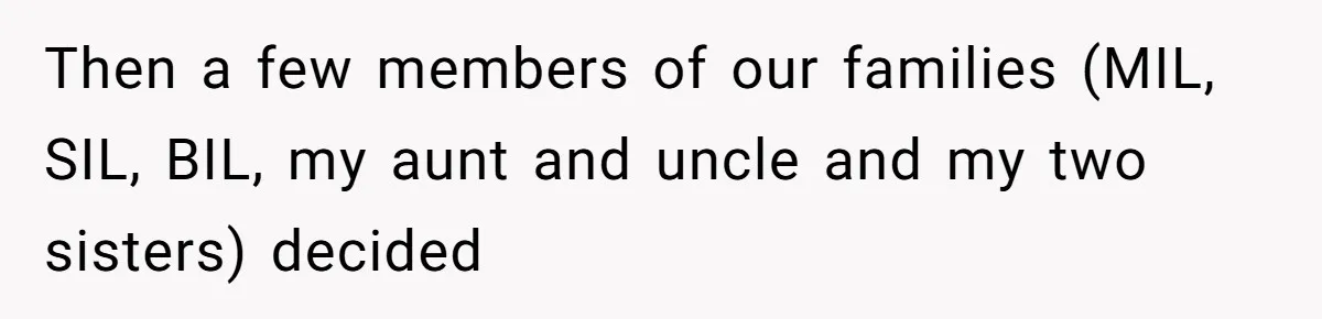 Then a few members of our families (MIL, SIL, BIL, my aunt and uncle and my two sisters) decided