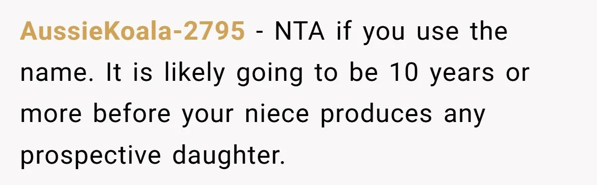 She Honored Her Late Mother With a Baby Name — Her Sister Says She Can’t Use It Because Her 17-Year-Old Niece Already “Claimed” It for Her Future Daughter AussieKoala-2795 − NTA if you use the name. It is likely going to be 10 years or more before your niece produces any prospective daughter.