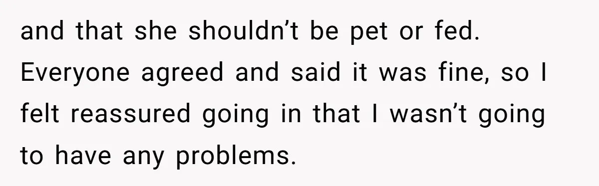She Brought Her Service Dog to a Family Dinner to Manage Sensory Overload, and Her Aunt Called Her Self-Centered for It and that she shouldn’t be pet or fed. Everyone agreed and said it was fine, so I felt reassured going in that I wasn’t going to have any problems.