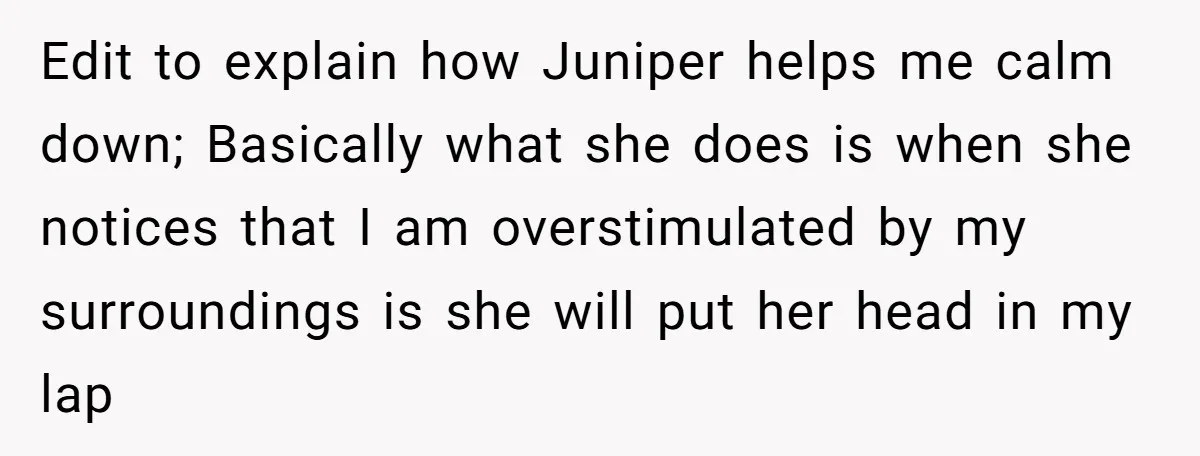 She Brought Her Service Dog to a Family Dinner to Manage Sensory Overload, and Her Aunt Called Her Self-Centered for It Edit to explain how Juniper helps me calm down; Basically what she does is when she notices that I am overstimulated by my surroundings is she will put her head...