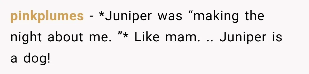 She Brought Her Service Dog to a Family Dinner to Manage Sensory Overload, and Her Aunt Called Her Self-Centered for It pinkplumes − *Juniper was “making the night about me. ”* Like mam. .. Juniper is a dog!