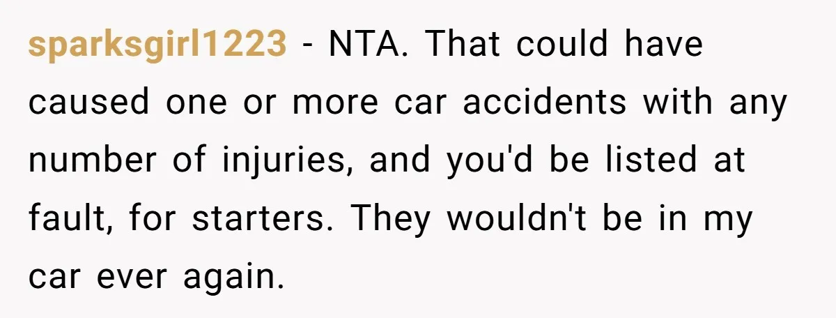 Woman Leaves Her Former Friend And Her Kid On the Side Of The Road After The Child Endangers Her While Driving sparksgirl1223 − NTA. That could have caused one or more car accidents with any number of injuries, and you'd be listed at fault, for starters. They wouldn't be in my...