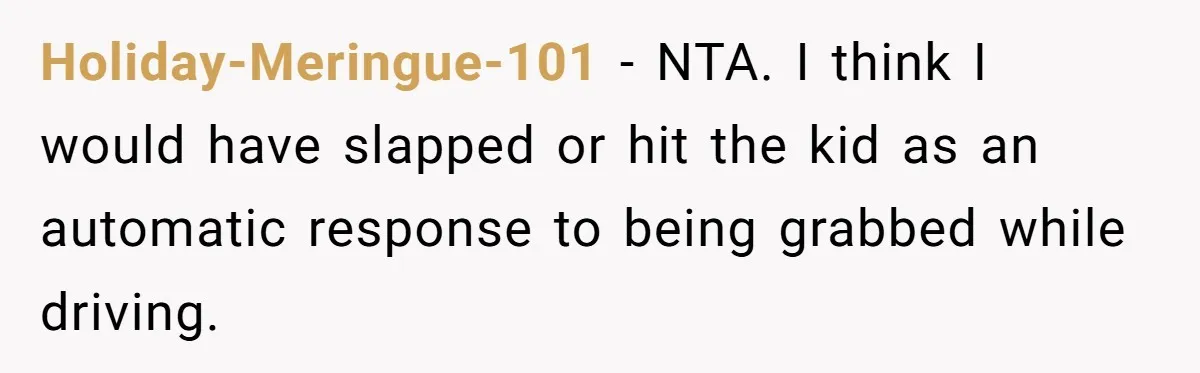 Woman Leaves Her Former Friend And Her Kid On the Side Of The Road After The Child Endangers Her While Driving Holiday-Meringue-101 − NTA. I think I would have slapped or hit the kid as an automatic response to being grabbed while driving.