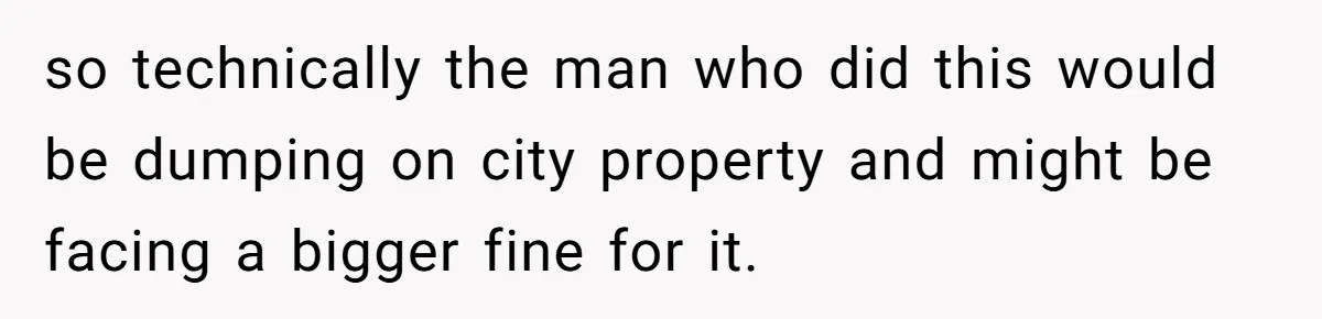 Careless Neighbor Dumps Trash Bags With Personal Clues, Eventually Gets Involved With Authorities so technically the man who did this would be dumping on city property and might be facing a bigger fine for it.