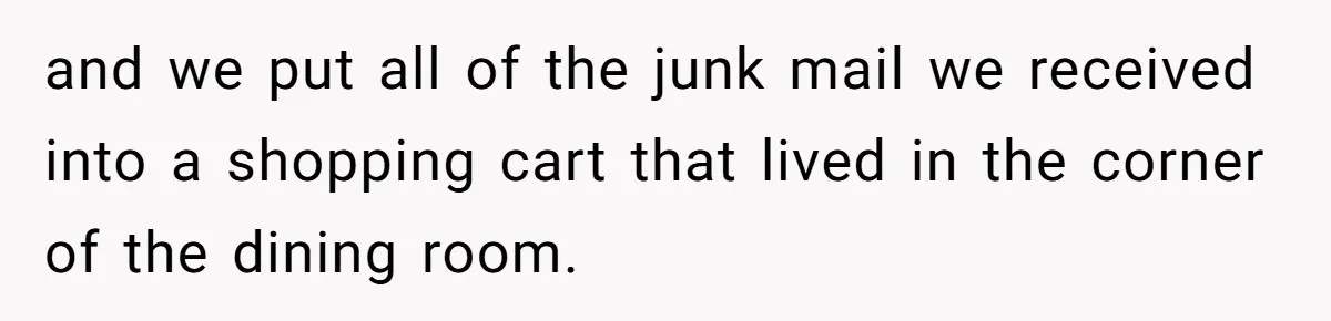Careless Neighbor Dumps Trash Bags With Personal Clues, Eventually Gets Involved With Authorities and we put all of the junk mail we received into a shopping cart that lived in the corner of the dining room.