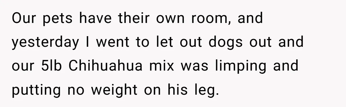 Woman Discovers Husband Broke Dog's Leg After Losing His Temper, Now She's Pregnant And Worried Our pets have their own room, and yesterday I went to let out dogs out and our 5lb Chihuahua mix was limping and putting no weight on his leg.
