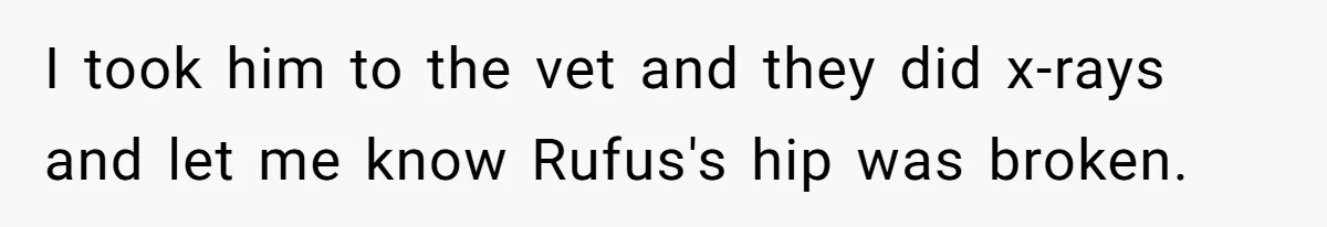 Woman Discovers Husband Broke Dog's Leg After Losing His Temper, Now She's Pregnant And Worried I took him to the vet and they did x-rays and let me know Rufus's hip was broken.