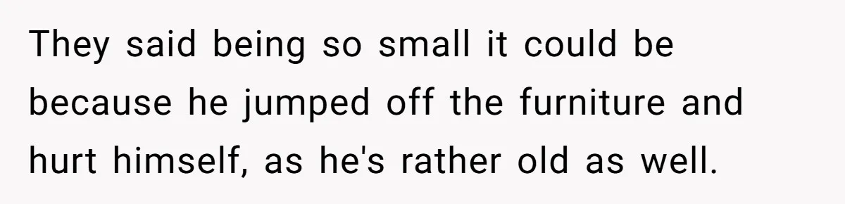 Woman Discovers Husband Broke Dog's Leg After Losing His Temper, Now She's Pregnant And Worried They said being so small it could be because he jumped off the furniture and hurt himself, as he's rather old as well.