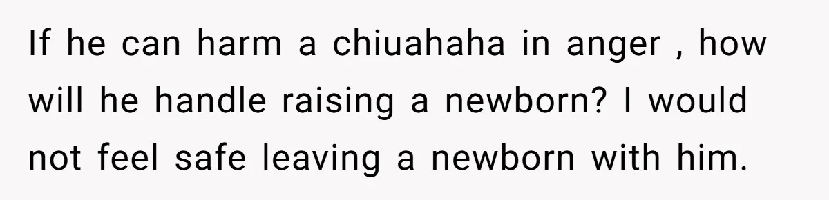 Woman Discovers Husband Broke Dog's Leg After Losing His Temper, Now She's Pregnant And Worried If he can harm a chiuahaha in anger , how will he handle raising a newborn? I would not feel safe leaving a newborn with him.