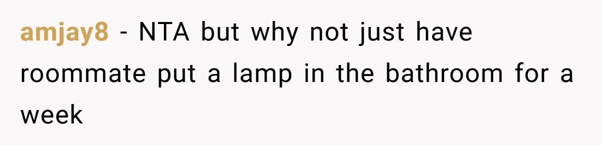 amjay8 − NTA but why not just have roommate put a lamp in the bathroom for a week