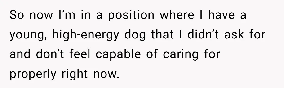 She Was Grieving Her Dog. Her Boyfriend Gave Her a Puppy, and It Made Everything Worse So now I’m in a position where I have a young, high-energy dog that I didn’t ask for and don’t feel capable of caring for properly right now.