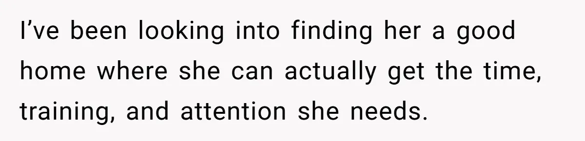 She Was Grieving Her Dog. Her Boyfriend Gave Her a Puppy, and It Made Everything Worse I’ve been looking into finding her a good home where she can actually get the time, training, and attention she needs.