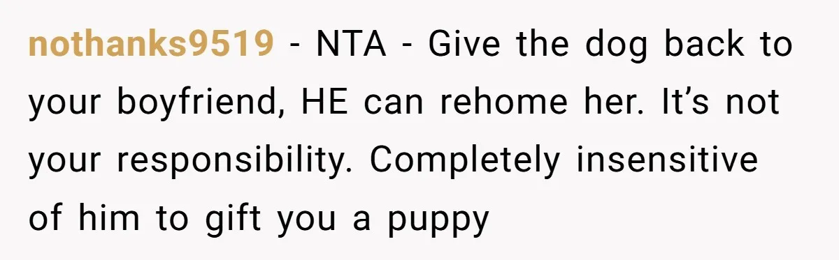 She Was Grieving Her Dog. Her Boyfriend Gave Her a Puppy, and It Made Everything Worse nothanks9519 − NTA - Give the dog back to your boyfriend, HE can rehome her. It’s not your responsibility. Completely insensitive of him to gift you a puppy