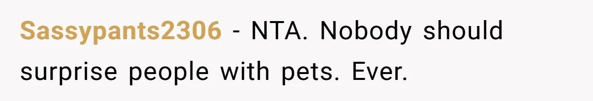 She Was Grieving Her Dog. Her Boyfriend Gave Her a Puppy, and It Made Everything Worse Sassypants2306 − NTA. Nobody should surprise people with pets. Ever.
