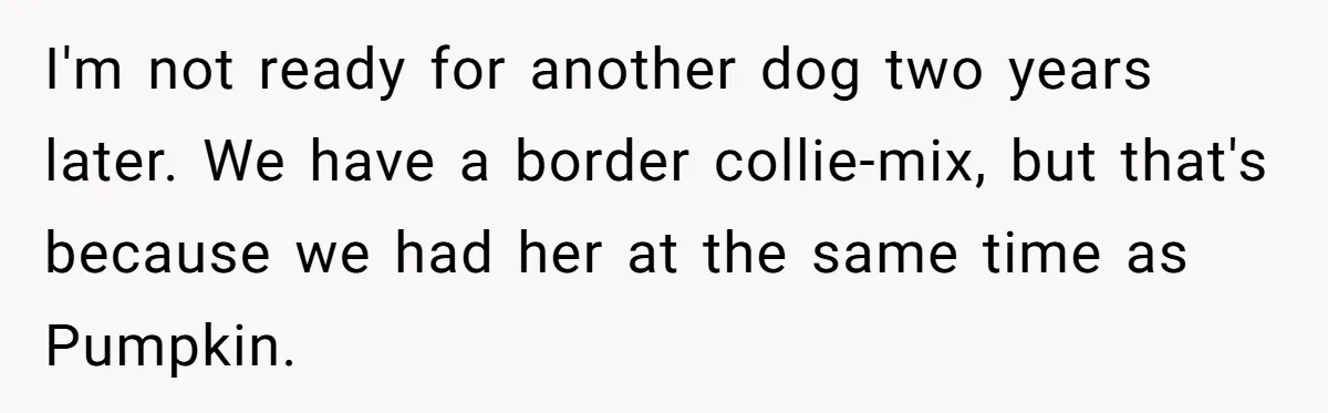 She Was Grieving Her Dog. Her Boyfriend Gave Her a Puppy, and It Made Everything Worse I'm not ready for another dog two years later. We have a border collie-mix, but that's because we had her at the same time as Pumpkin.