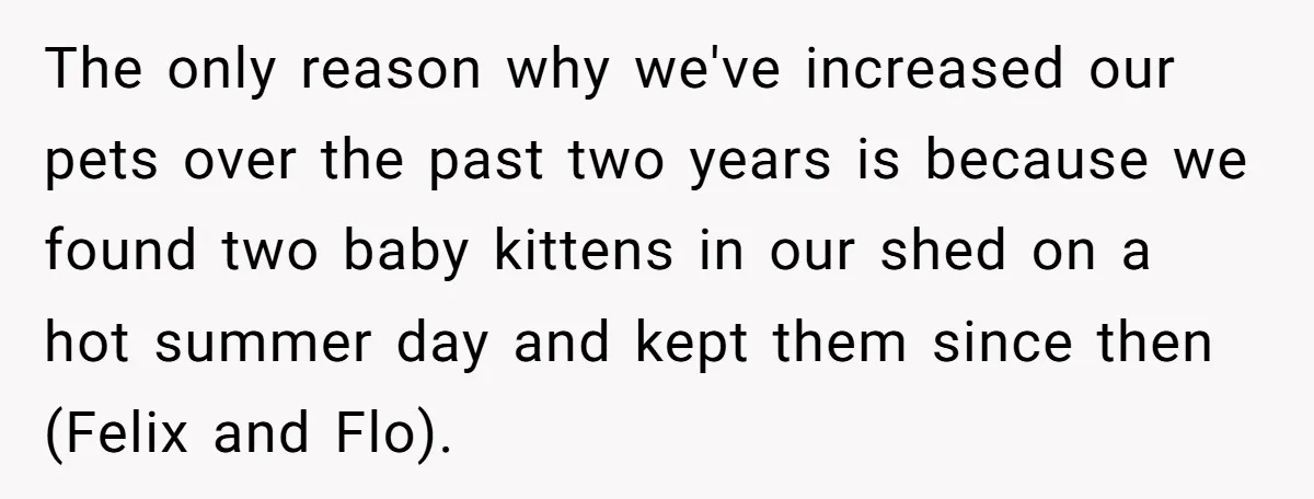 She Was Grieving Her Dog. Her Boyfriend Gave Her a Puppy, and It Made Everything Worse The only reason why we've increased our pets over the past two years is because we found two baby kittens in our shed on a hot summer day and kept...