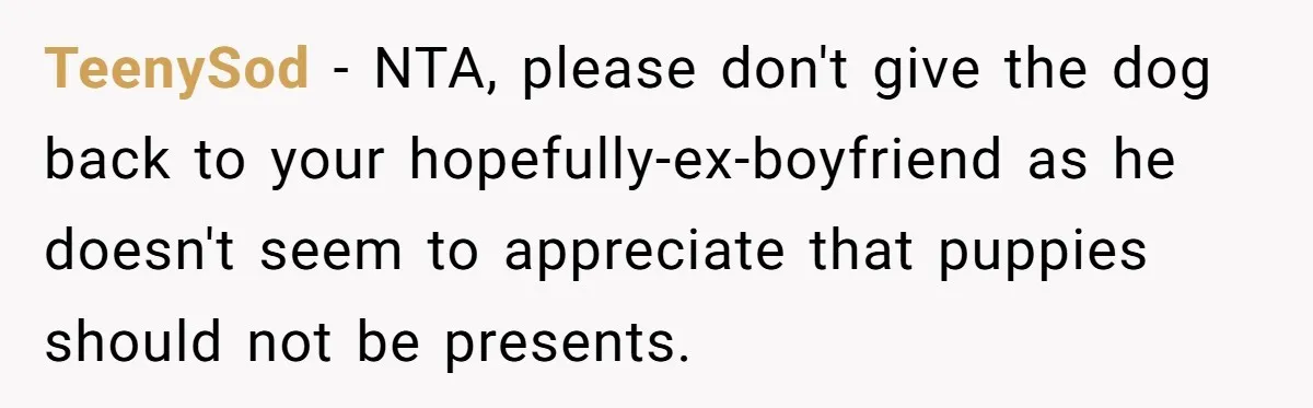 She Was Grieving Her Dog. Her Boyfriend Gave Her a Puppy, and It Made Everything Worse TeenySod − NTA, please don't give the dog back to your hopefully-ex-boyfriend as he doesn't seem to appreciate that puppies should not be presents.