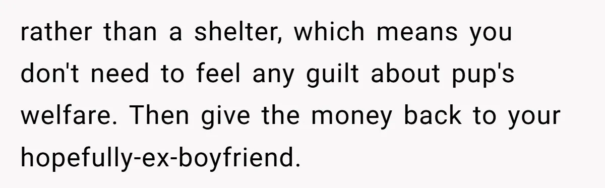 She Was Grieving Her Dog. Her Boyfriend Gave Her a Puppy, and It Made Everything Worse rather than a shelter, which means you don't need to feel any guilt about pup's welfare. Then give the money back to your hopefully-ex-boyfriend.