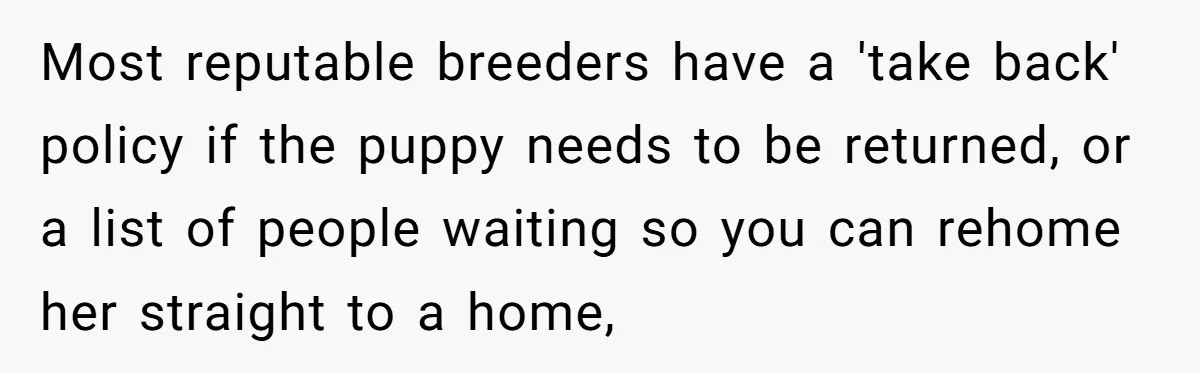 She Was Grieving Her Dog. Her Boyfriend Gave Her a Puppy, and It Made Everything Worse Most reputable breeders have a 'take back' policy if the puppy needs to be returned, or a list of people waiting so you can rehome her straight to a home,