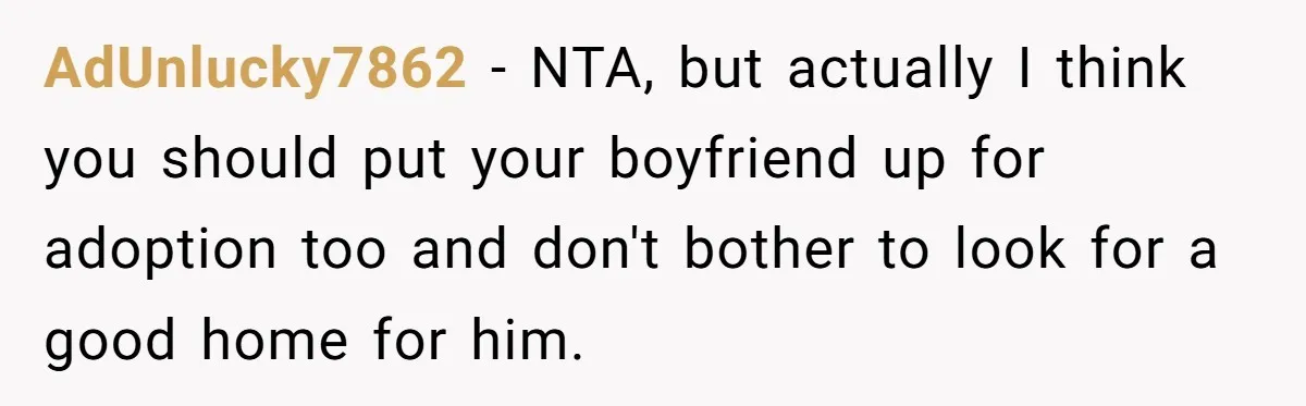 She Was Grieving Her Dog. Her Boyfriend Gave Her a Puppy, and It Made Everything Worse AdUnlucky7862 − NTA, but actually I think you should put your boyfriend up for adoption too and don't bother to look for a good home for him.