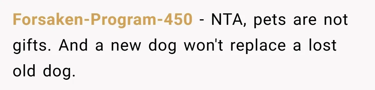 She Was Grieving Her Dog. Her Boyfriend Gave Her a Puppy, and It Made Everything Worse Forsaken-Program-450 − NTA, pets are not gifts. And a new dog won't replace a lost old dog.