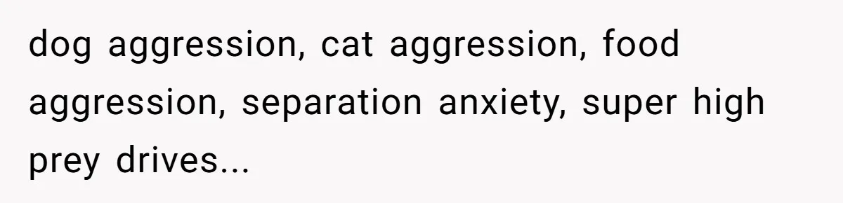 Woman’s Dog Growls At Niece After Year Of Harassment, Now Her Brother Wants It Put Down dog aggression, cat aggression, food aggression, separation anxiety, super high prey drives...