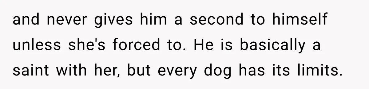 Woman’s Dog Growls At Niece After Year Of Harassment, Now Her Brother Wants It Put Down and never gives him a second to himself unless she's forced to. He is basically a saint with her, but every dog has its limits.