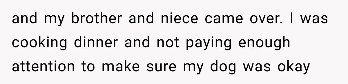 Woman’s Dog Growls At Niece After Year Of Harassment, Now Her Brother Wants It Put Down and my brother and niece came over. I was cooking dinner and not paying enough attention to make sure my dog was okay