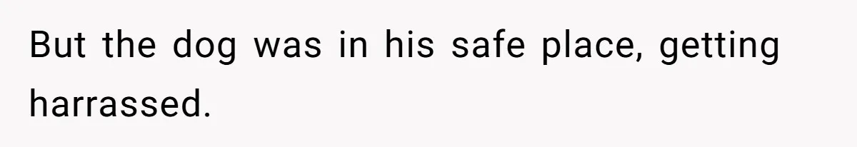 Woman’s Dog Growls At Niece After Year Of Harassment, Now Her Brother Wants It Put Down But the dog was in his safe place, getting harrassed.