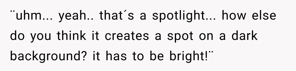 “You Want a Spotlight?” He Gave Them Exactly That, and They Regretted It Instantly ¨uhm... yeah.. that´s a spotlight... how else do you think it creates a spot on a dark background? it has to be bright!¨