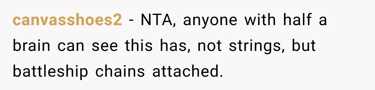 Woman Turns Down $25,000 Wedding Gift From Fiancé’s Mom, Fearing Strings Attached canvasshoes2 − NTA, anyone with half a brain can see this has, not strings, but battleship chains attached.