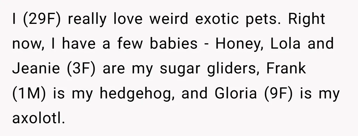 Woman Adds Pet Lobster To Her Exotic Collection, Boyfriend Disapproves And Threatens To Cook I (29F) really love weird exotic pets. Right now, I have a few babies - Honey, Lola and Jeanie (3F) are my sugar gliders, Frank (1M) is my hedgehog, and...