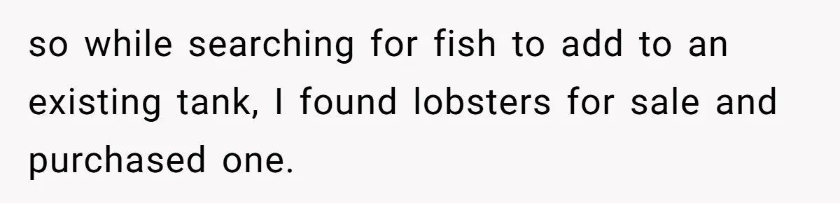 Woman Adds Pet Lobster To Her Exotic Collection, Boyfriend Disapproves And Threatens To Cook so while searching for fish to add to an existing tank, I found lobsters for sale and purchased one.