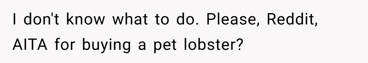 Woman Adds Pet Lobster To Her Exotic Collection, Boyfriend Disapproves And Threatens To Cook I don't know what to do. Please, Reddit, AITA for buying a pet lobster?