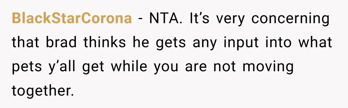 Woman Adds Pet Lobster To Her Exotic Collection, Boyfriend Disapproves And Threatens To Cook BlackStarCorona − NTA. It’s very concerning that brad thinks he gets any input into what pets y’all get while you are not moving together.