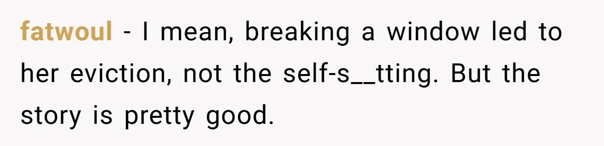 Flatmate Owes Bills, Still Goes On Vacation, Then Begs For Help During Emergency On Return fatwoul − I mean, breaking a window led to her eviction, not the self-s__tting. But the story is pretty good.