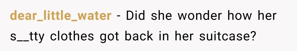Flatmate Owes Bills, Still Goes On Vacation, Then Begs For Help During Emergency On Return dear_little_water − Did she wonder how her s__tty clothes got back in her suitcase?