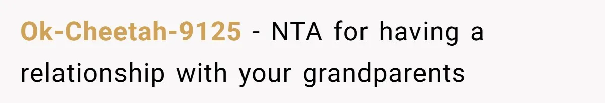Mother Claims Betrayal After Daughter Accepts A Two Hundred Thousand Dollar College Fund From Estranged In Laws Ok-Cheetah-9125 − NTA for having a relationship with your grandparents