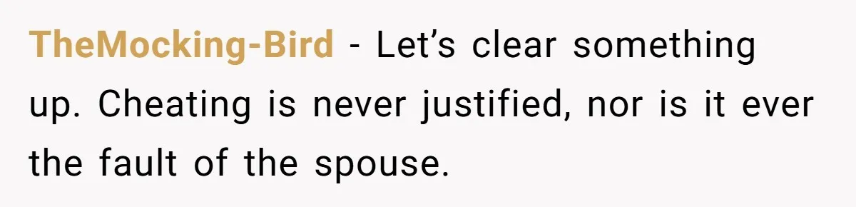 Man Discovers His Wife’s Affair And Struggles With Whether To Divorce After Betrayal TheMocking-Bird − Let’s clear something up. Cheating is never justified, nor is it ever the fault of the spouse.