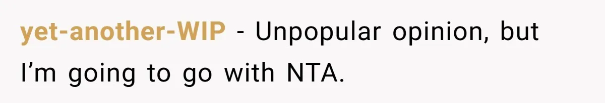 Finders-Keepers Traveler Refuses To Yield Airport Seat Saved For Someone Absent yet-another-WIP − Unpopular opinion, but I’m going to go with NTA.