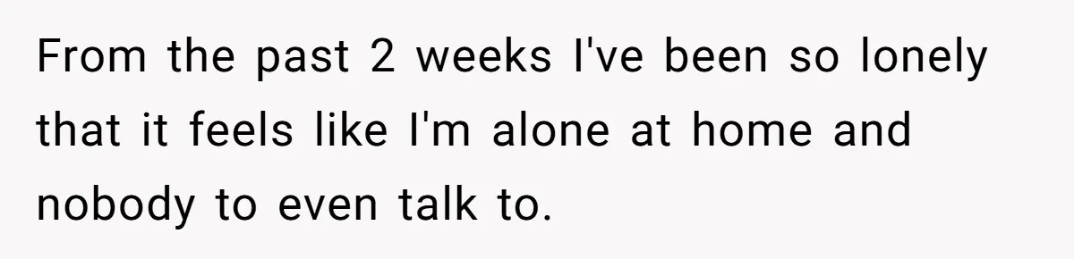 From the past 2 weeks I've been so lonely that it feels like I'm alone at home and nobody to even talk to.