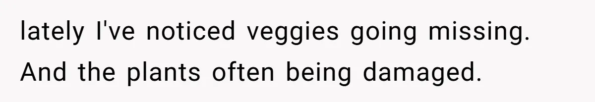lately I've noticed veggies going missing. And the plants often being damaged.