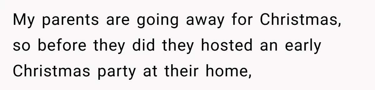 My parents are going away for Christmas, so before they did they hosted an early Christmas party at their home,