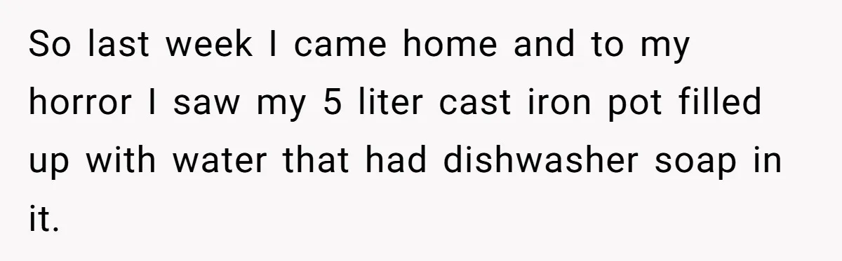 Chef Makes Girlfriend Use "S__t Pans" After She Keep Damaging His Expensive Kitchen Tools So last week I came home and to my horror I saw my 5 liter cast iron pot filled up with water that had dishwasher soap in it.