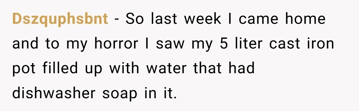 Chef Makes Girlfriend Use "S__t Pans" After She Keep Damaging His Expensive Kitchen Tools Dszquphsbnt − So last week I came home and to my horror I saw my 5 liter cast iron pot filled up with water that had dishwasher soap in it.